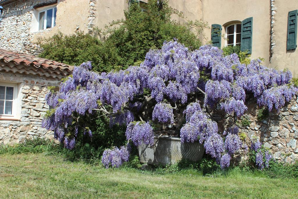 Domaine De La Blaque - B&B Varages Экстерьер фото